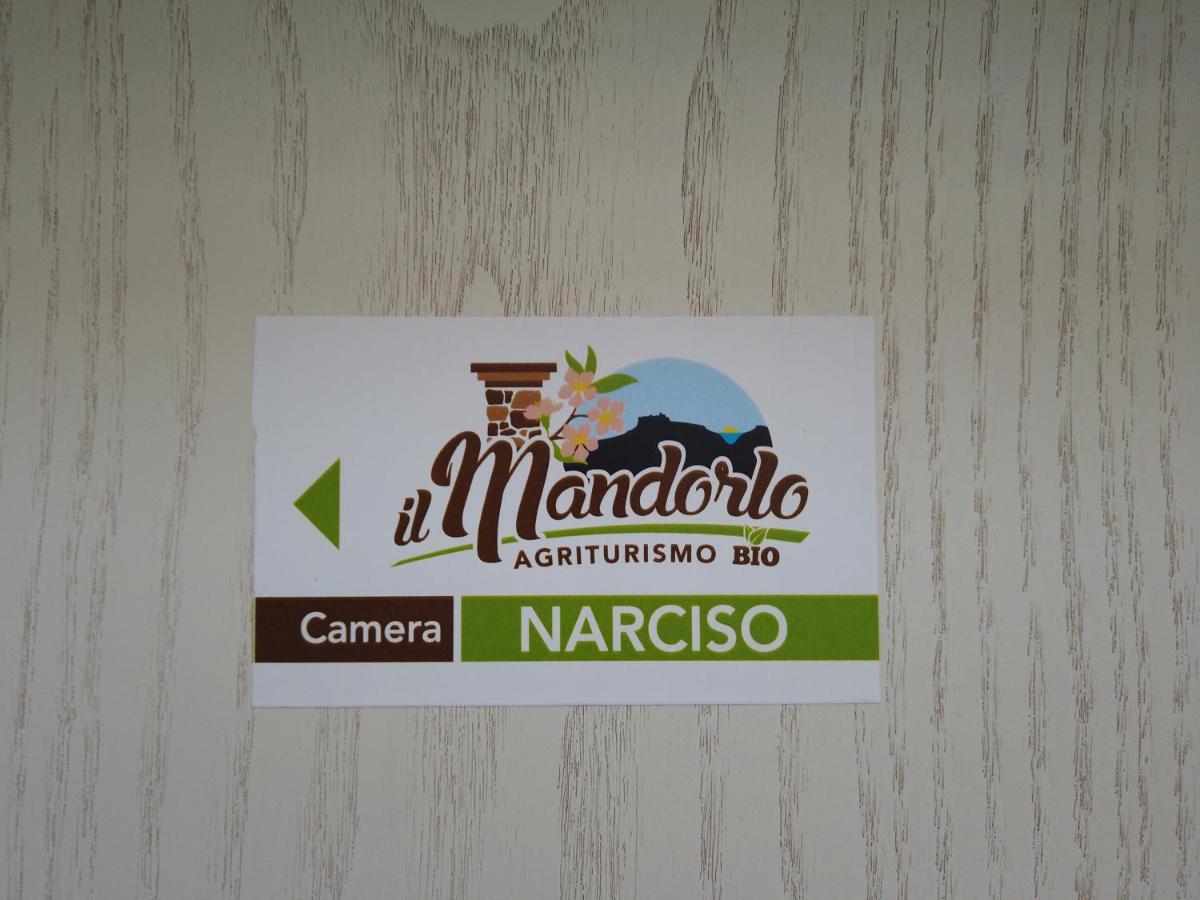 阿曼泰阿Il Mandorlo别墅 外观 照片